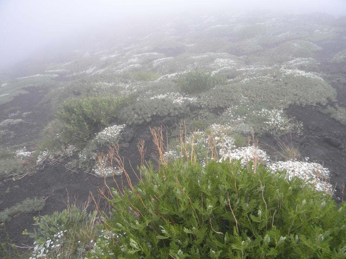 DSCN9526 .JPG